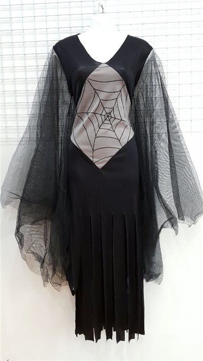 蜘蛛女巫